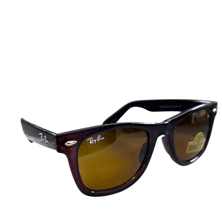 Ray-Ban Brown Frame